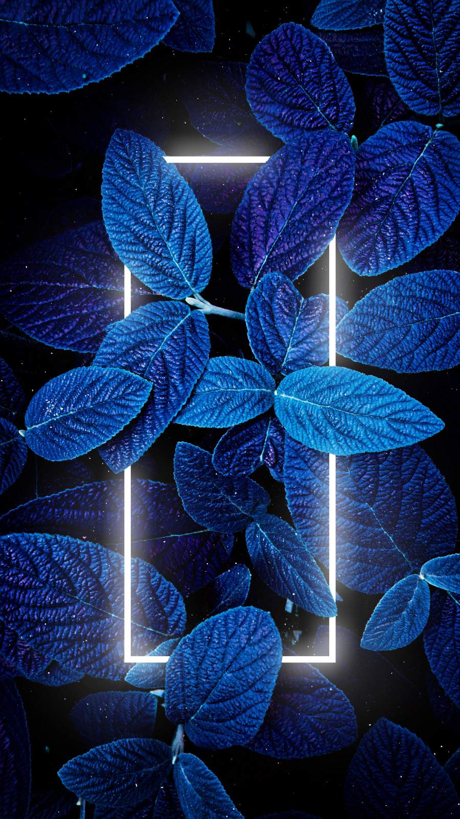 Blue Themed Wallpapers Top Free Blue Themed Backgrounds WallpaperAccess