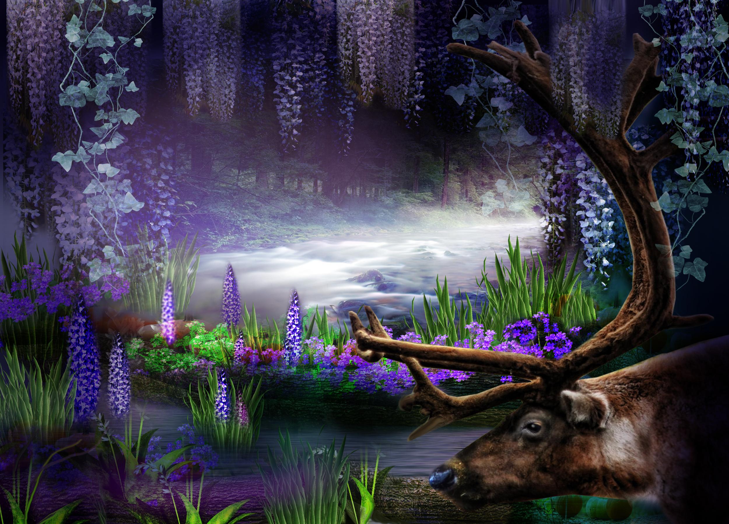 2500x1800 Purple Fantasy Forest