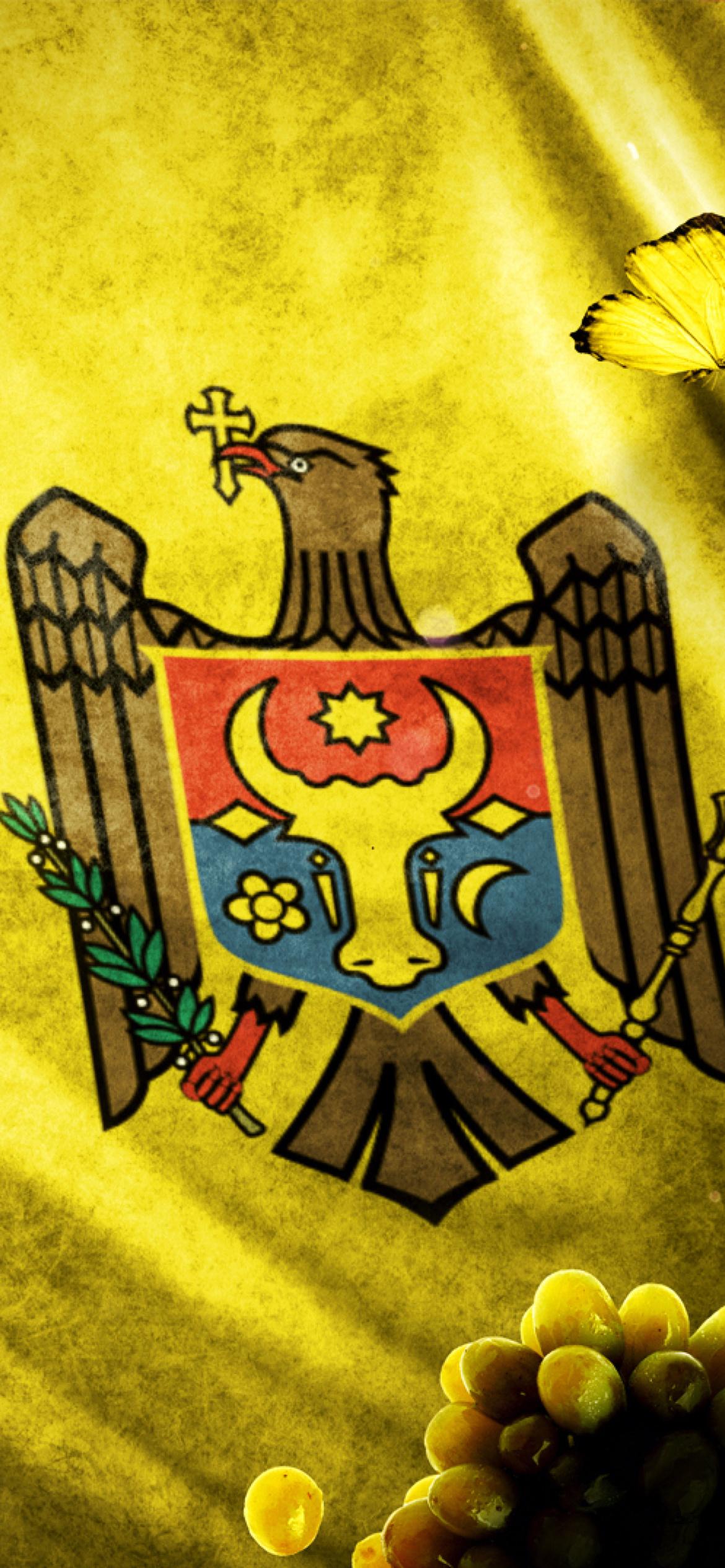 1170x2532 Moldova Flag Wallpaper for iPhone 11