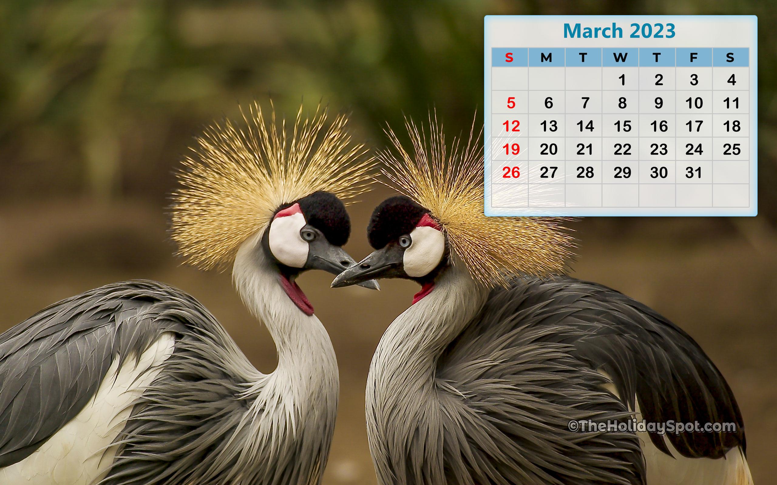 2560x1600 Calendar Wallpaper for 2023. HD Monthly Calendar Wallpaper