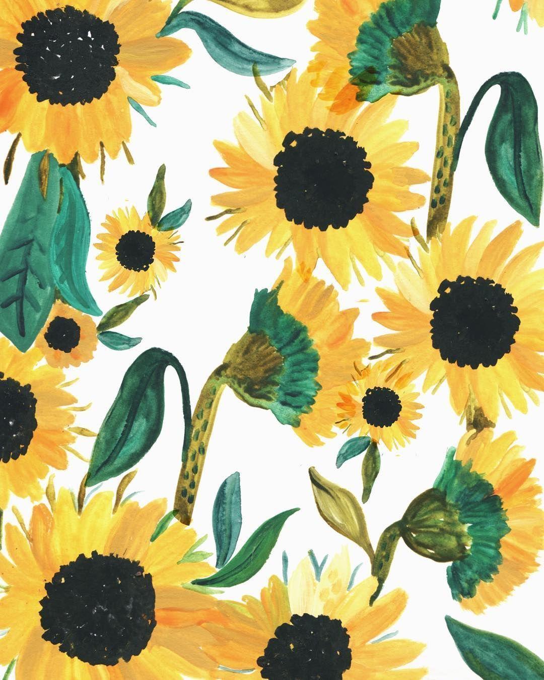 Sunflowers Iphone Wallpapers Top Free Sunflowers Iphone Backgrounds Wallpaperaccess