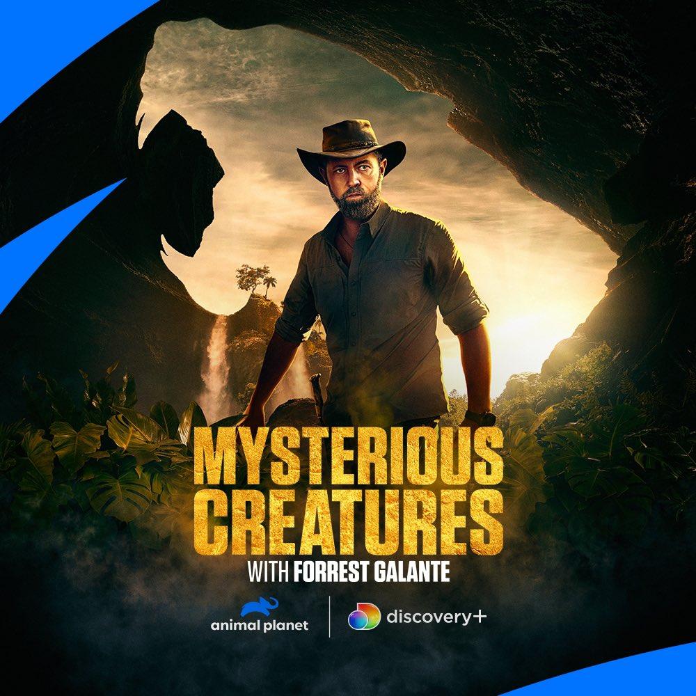 1000x1000 Forrest Galante Creatures With Forrest Galante Is Out NOW! Go Over To Click This Ridiculous Awesome Looking Poster Of Me And Stream The First Epic Episode Right Now!!