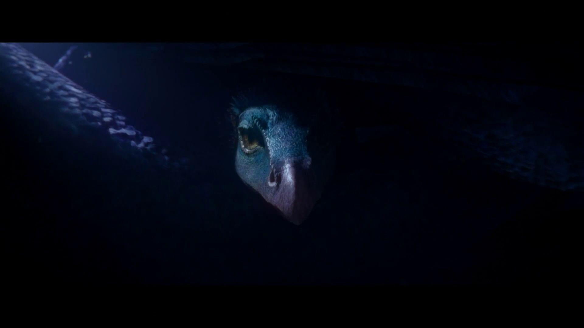 1920x1080 Page Fantastic Beasts and Where to Find Them Wallpaper