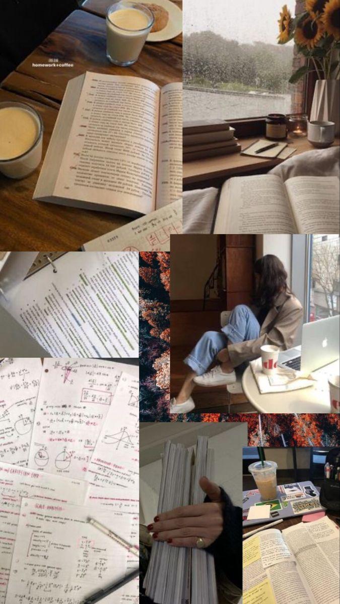 Studious Wallpapers - Top Free Studious Backgrounds - WallpaperAccess