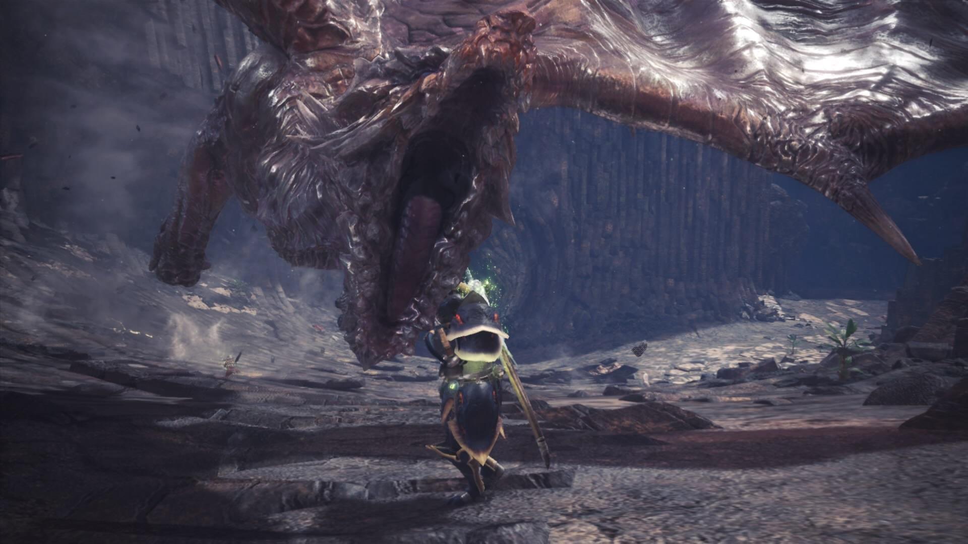 1920x1080 Finally fought a Kushala Daora, it went something like this