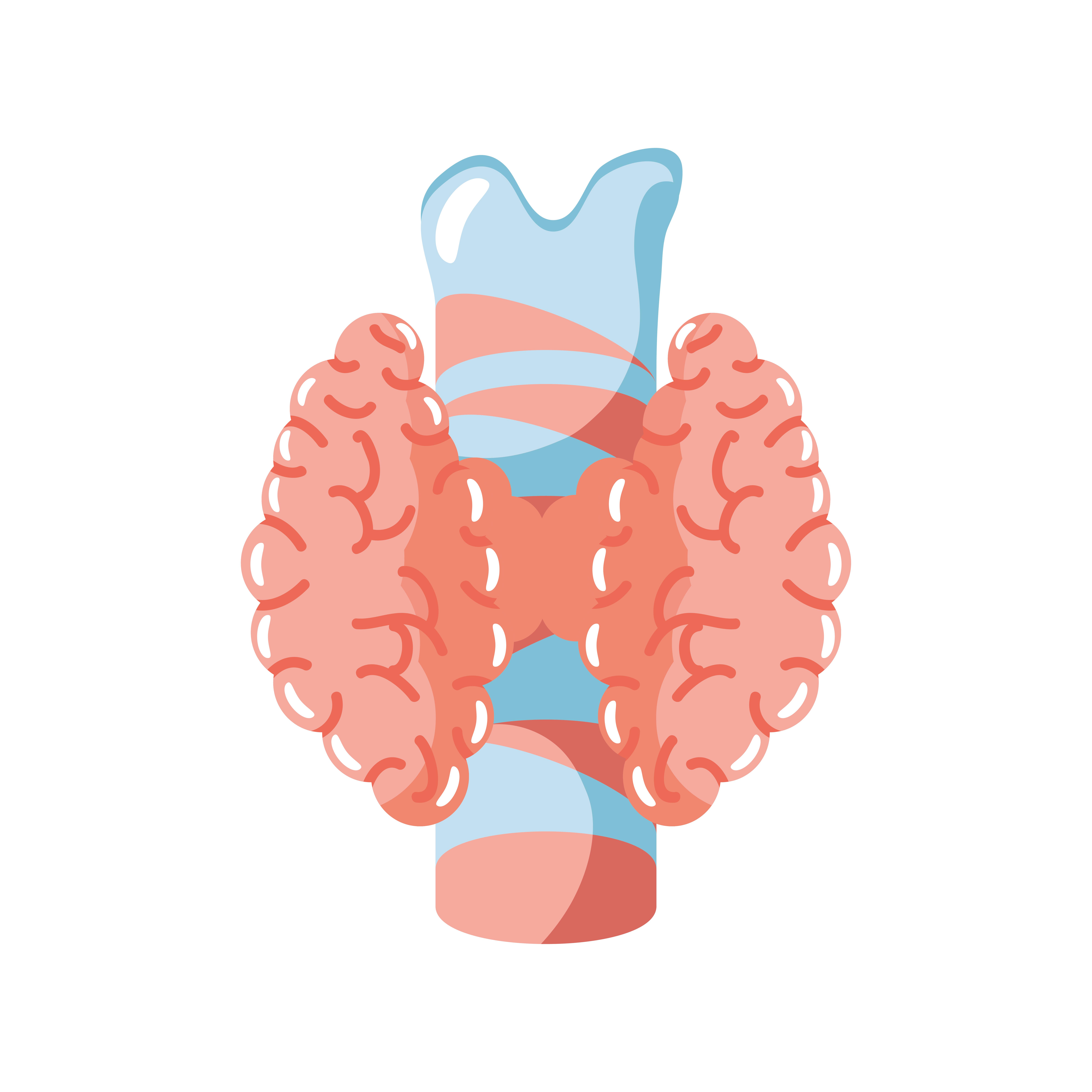 7973x7973 Thyroid Vector Art, Icon, and Graphics for Free Download