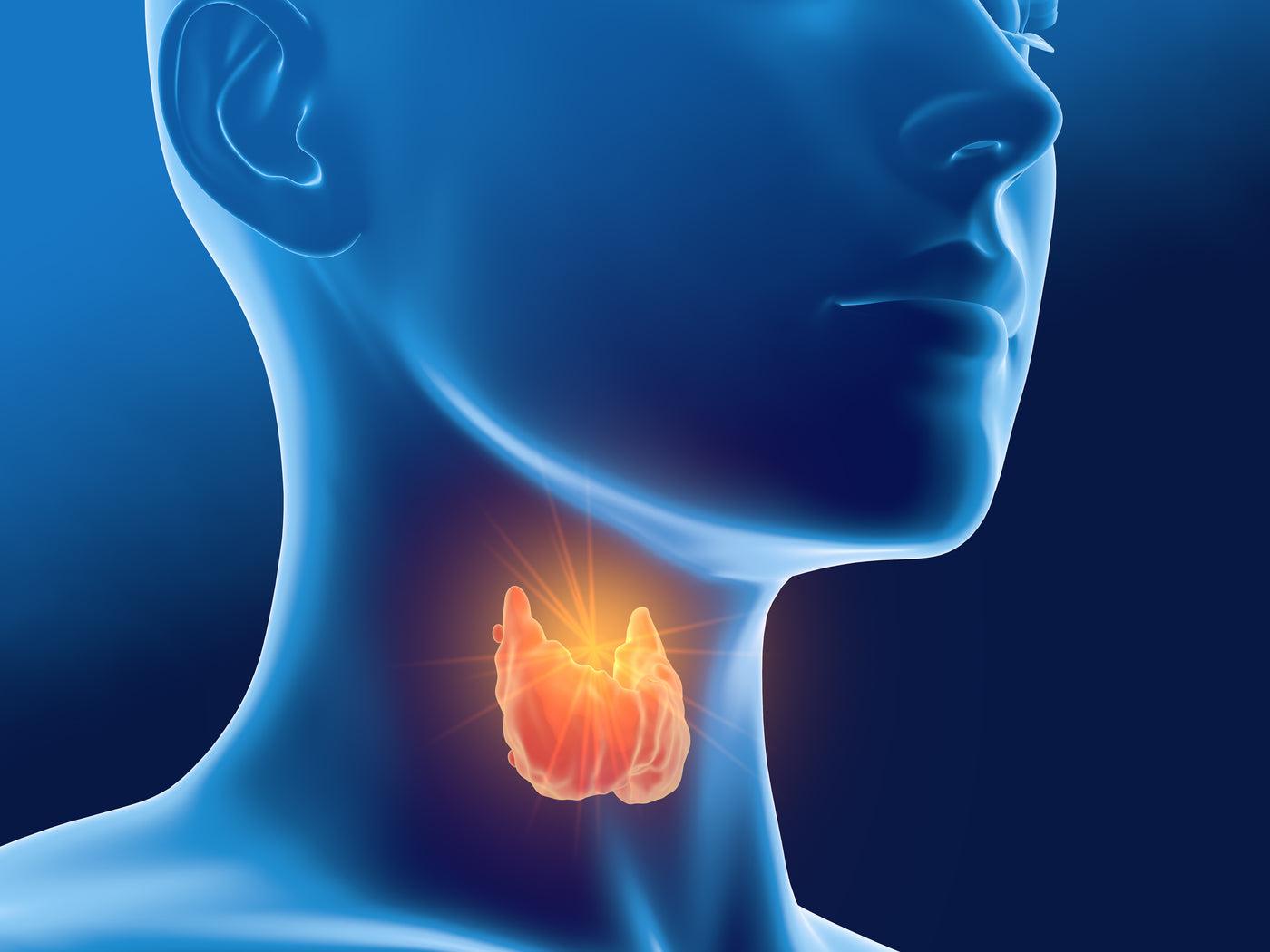 1400x1050 The Thyroid Skin Connection: How Your Thyroid Affects Skin Health