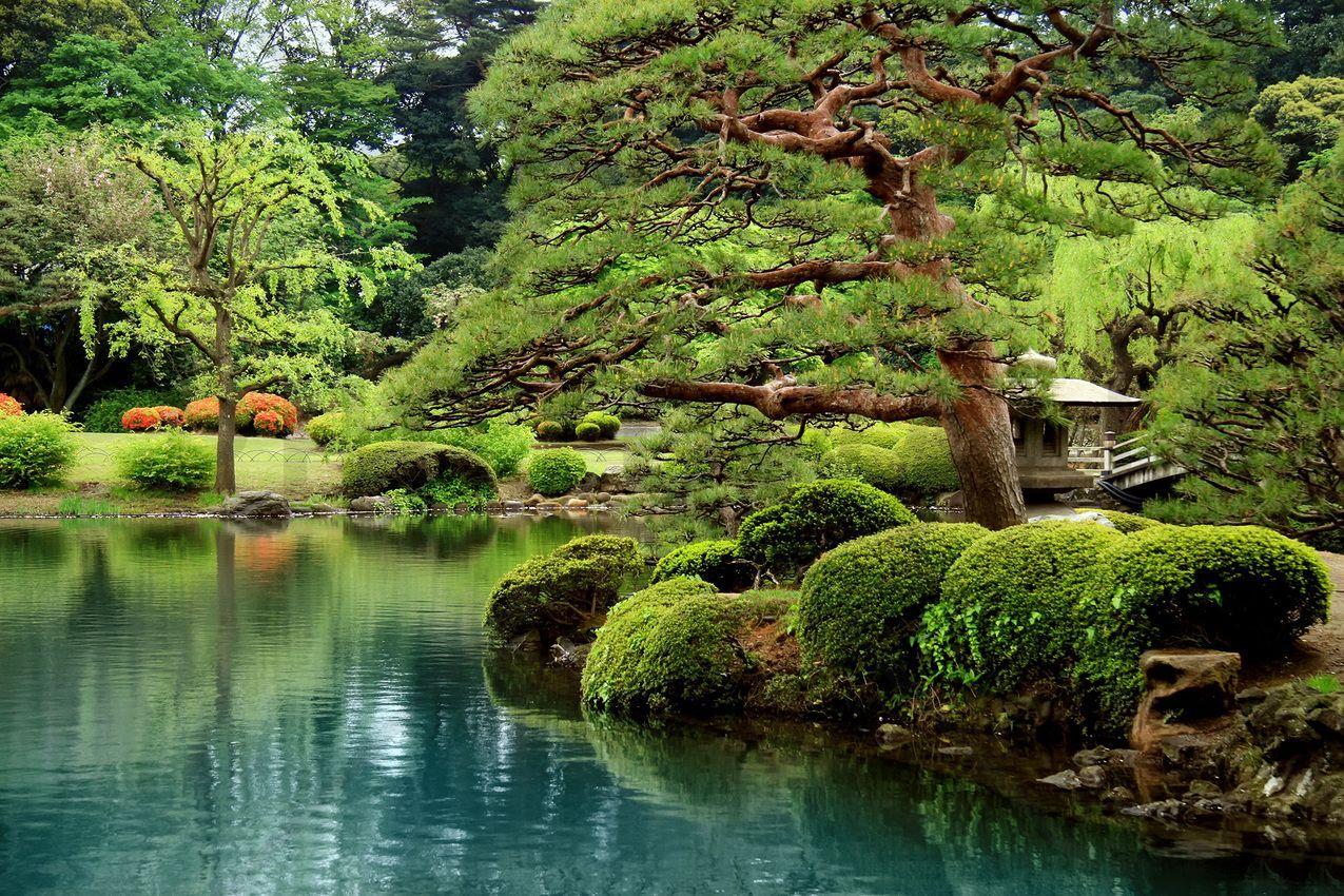 1275x850 Calm Zen Lake. Wall murals