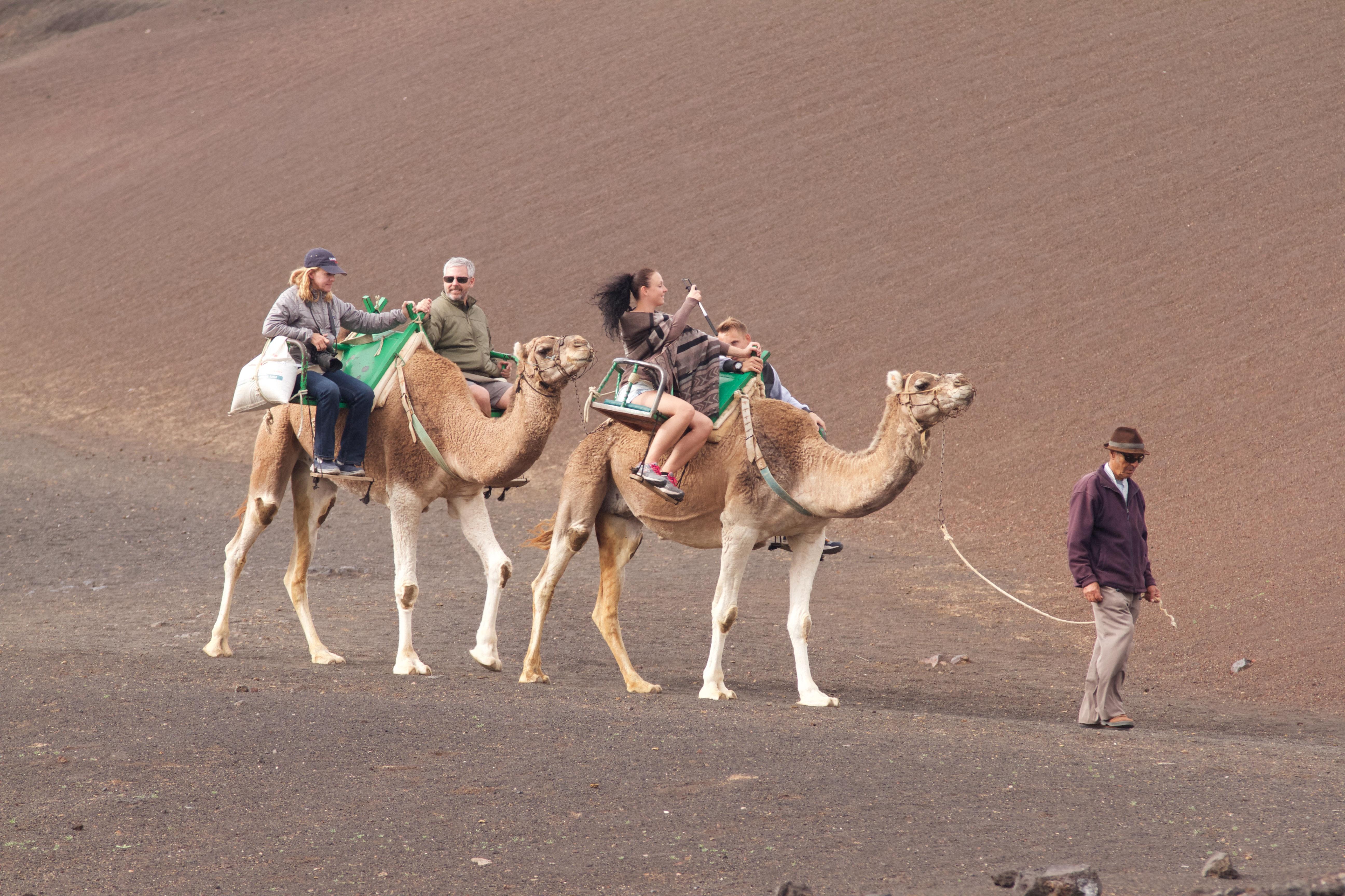 5184x3456 Camel Ride Photo, Download Free Camel Ride & HD Image