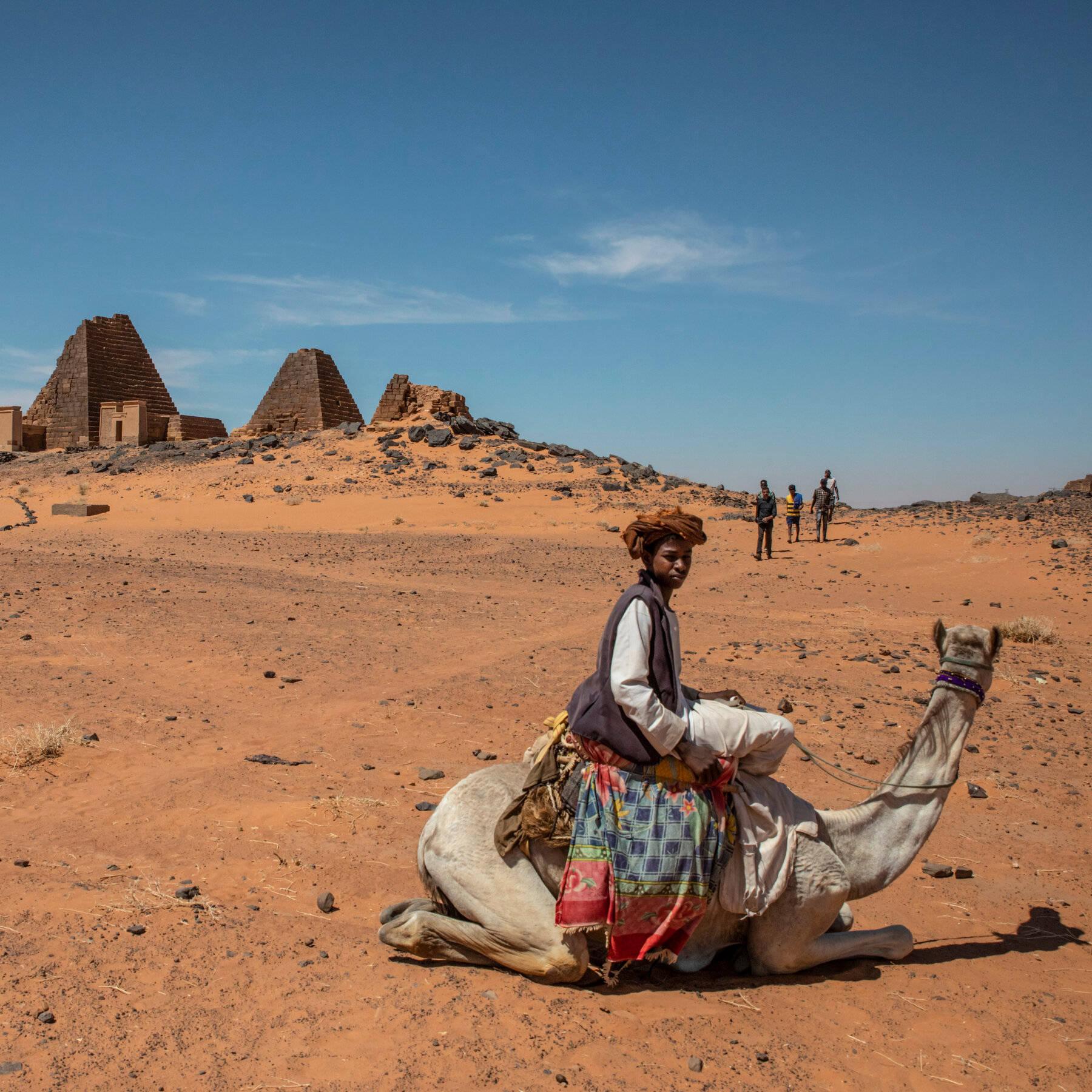 1800x1800 Download Sudan Boy Riding A Camel Wallpaper
