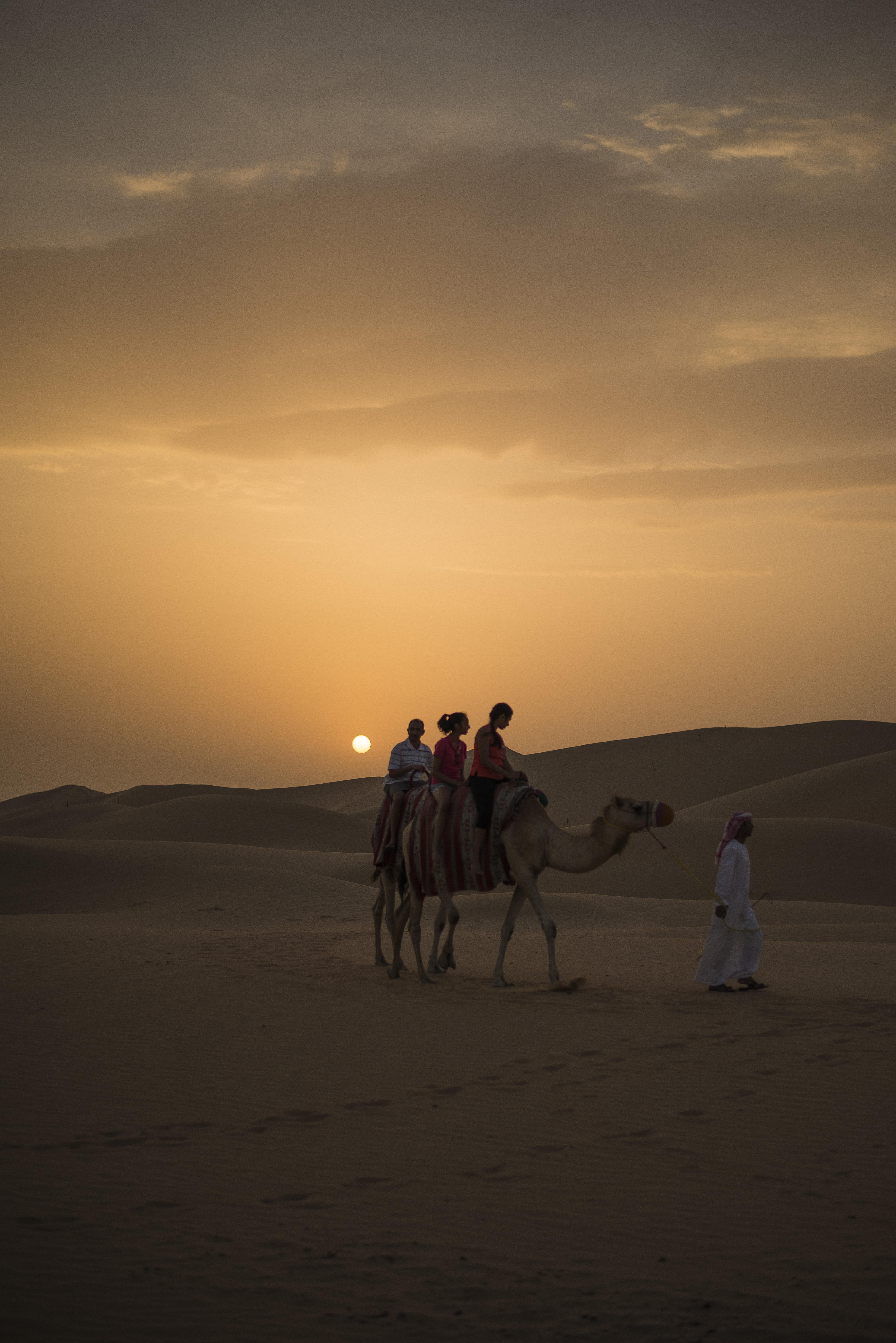 4912x7360 Photography of People Riding Camel during Sunset · Free