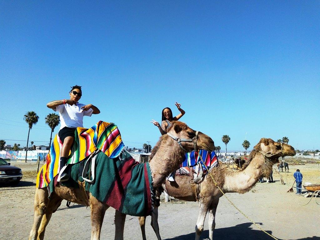 1024x768 Camel Rides in Rosarito Baja California Mexico 15 min. ride
