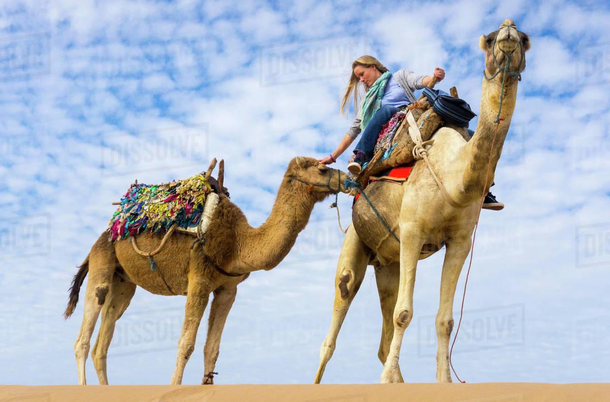 1200x791 Woman on camel ride stroking camel