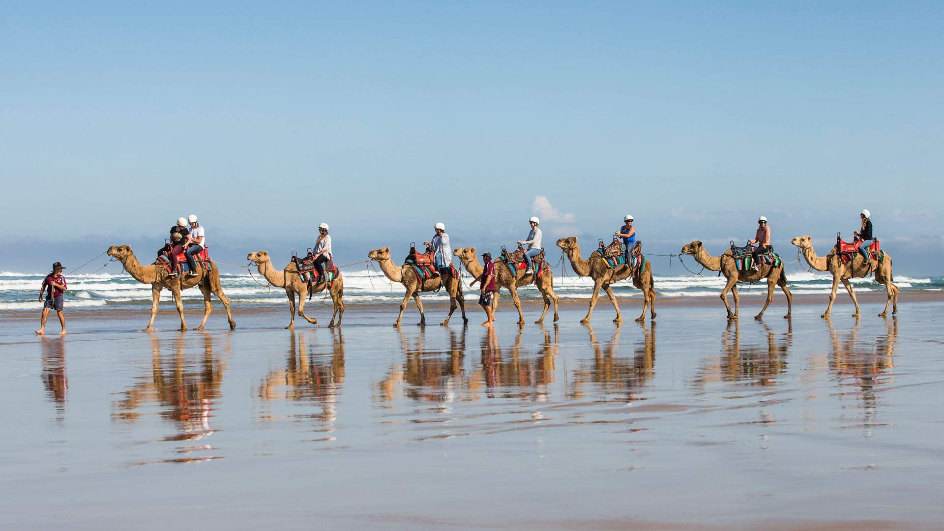1920x1080 Adventure Camel Rides