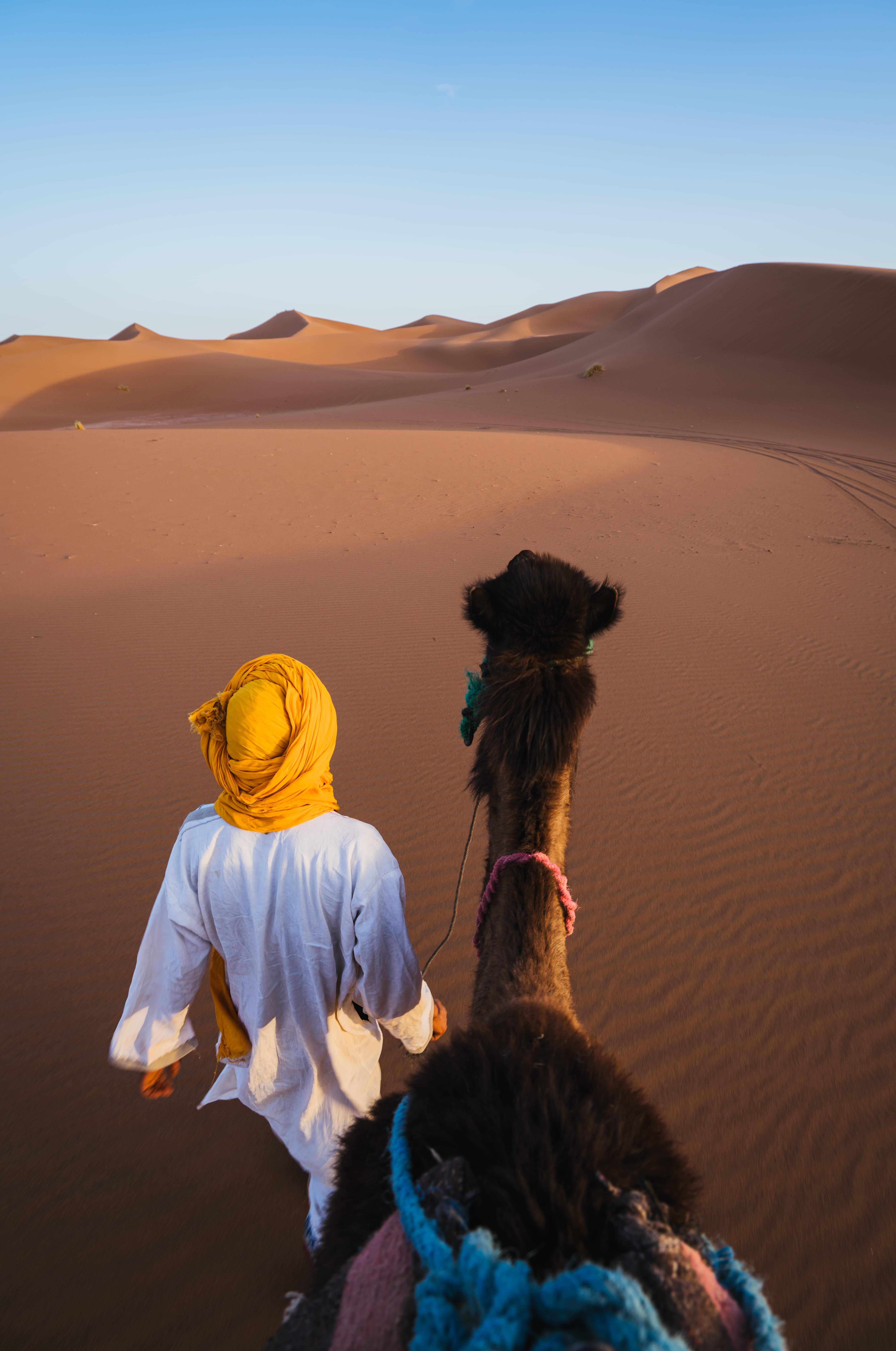 4934x7437 camel ride 1080P, 2k, 4k Full HD Wallpaper, Background Free Download