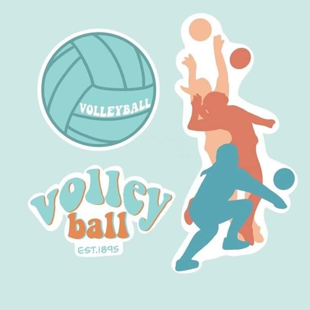 1000x1000 Free Cute Volleyball Wallpaper Downloads, Cute Volleyball Wallpaper for FREE