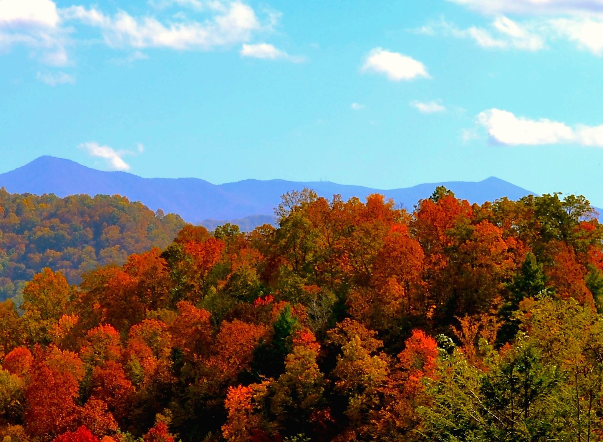 2048x1503 North Carolina Mountains Wallpaper