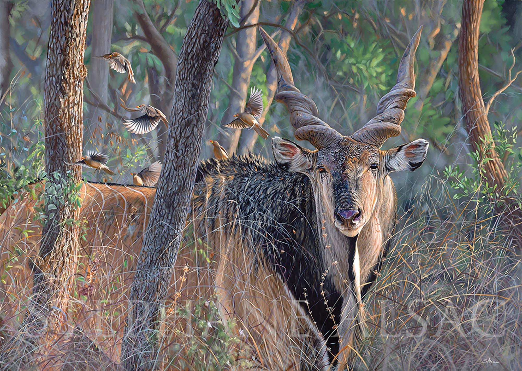 2000x1420 Ghost of Faro painting on canvas of a giant eland