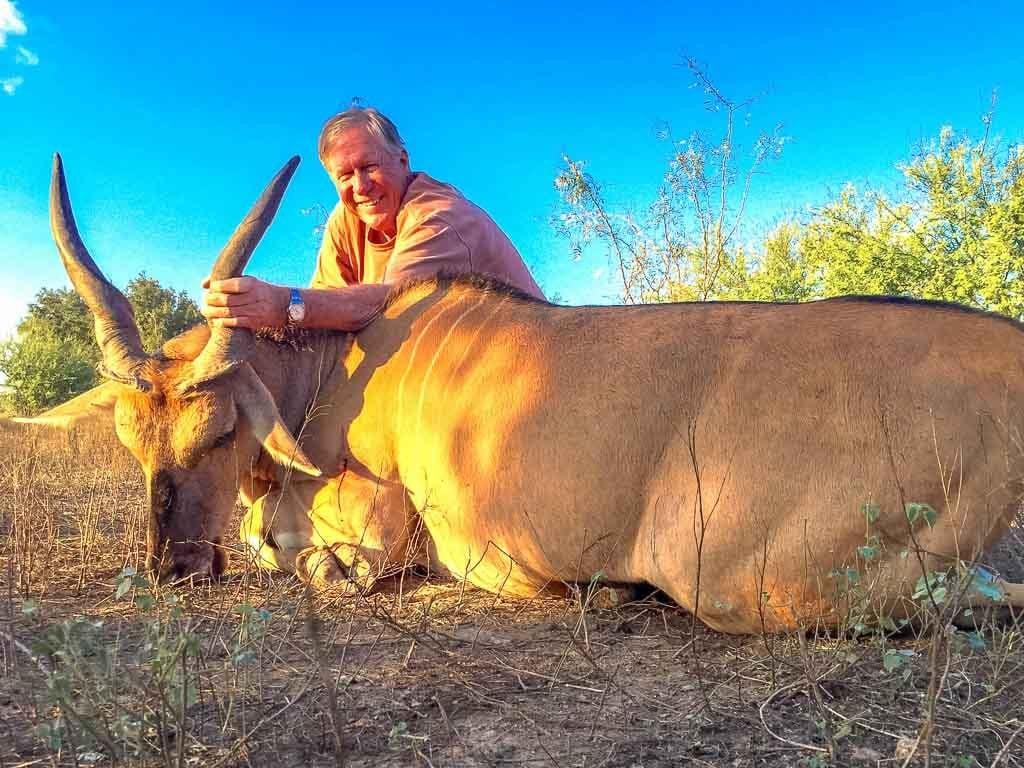 1024x768 Eland Hunting. Species Available for Hunt