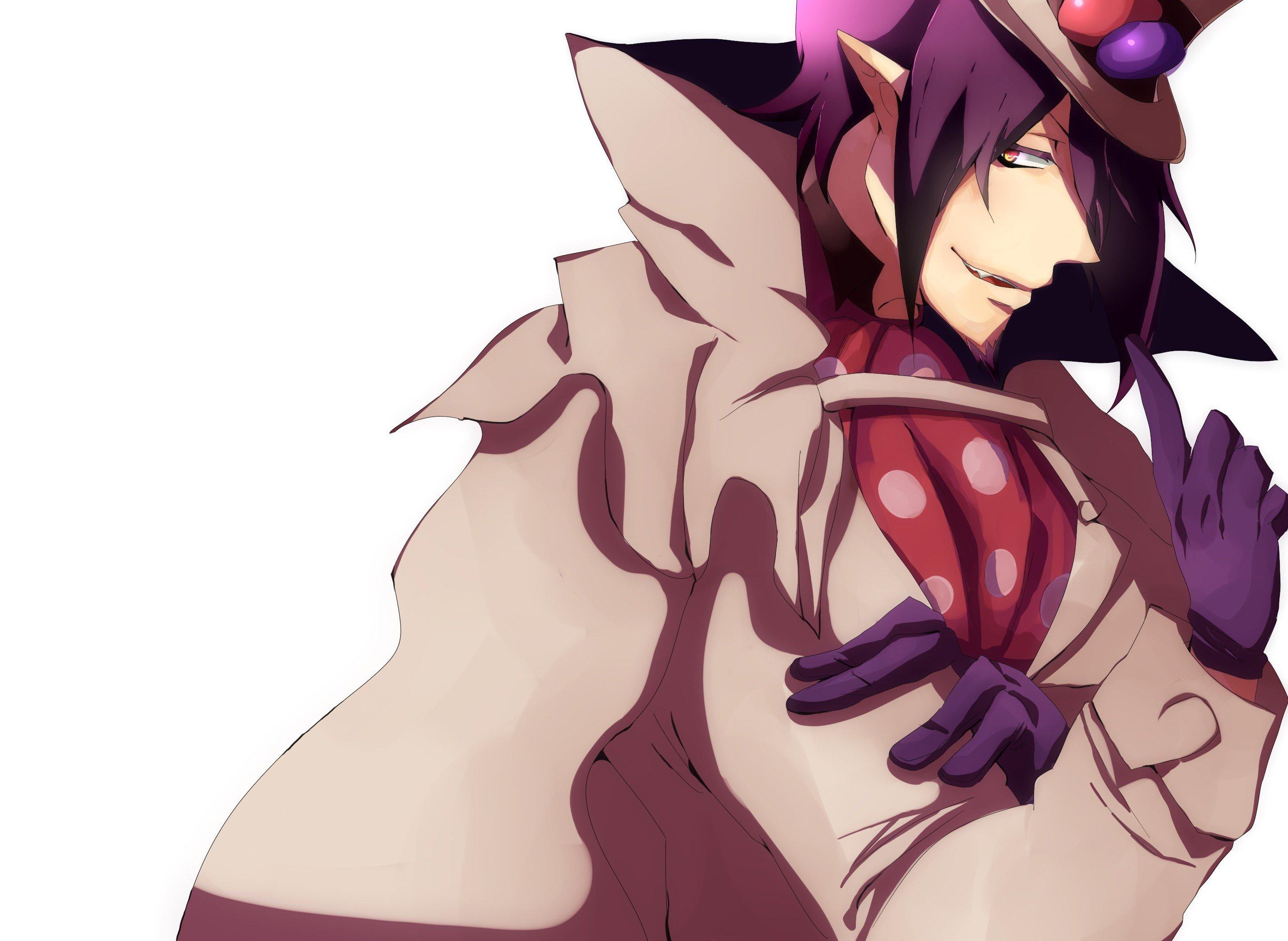 2855x2087 Gloves purple hair beard anime anime boys Ao no Exorcist Mephisto Pheles hats wallpaperx2087