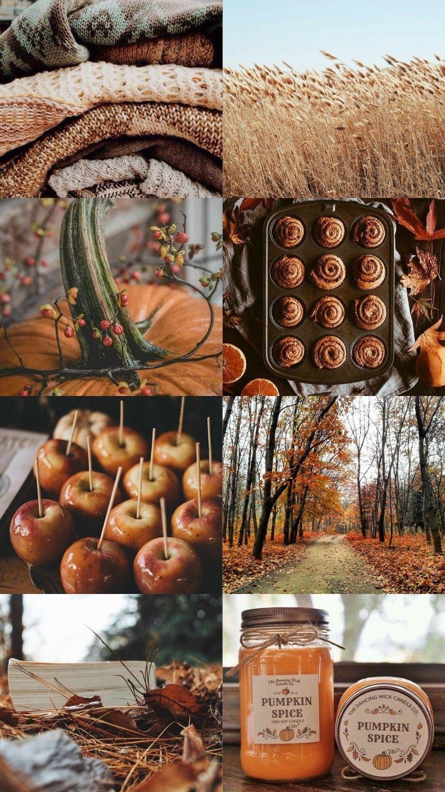 Fall Aesthetic Wallpapers Top Free Fall Aesthetic