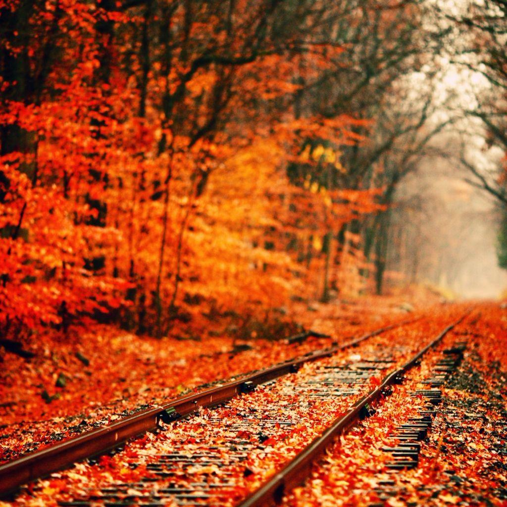 autumn background images aesthetic