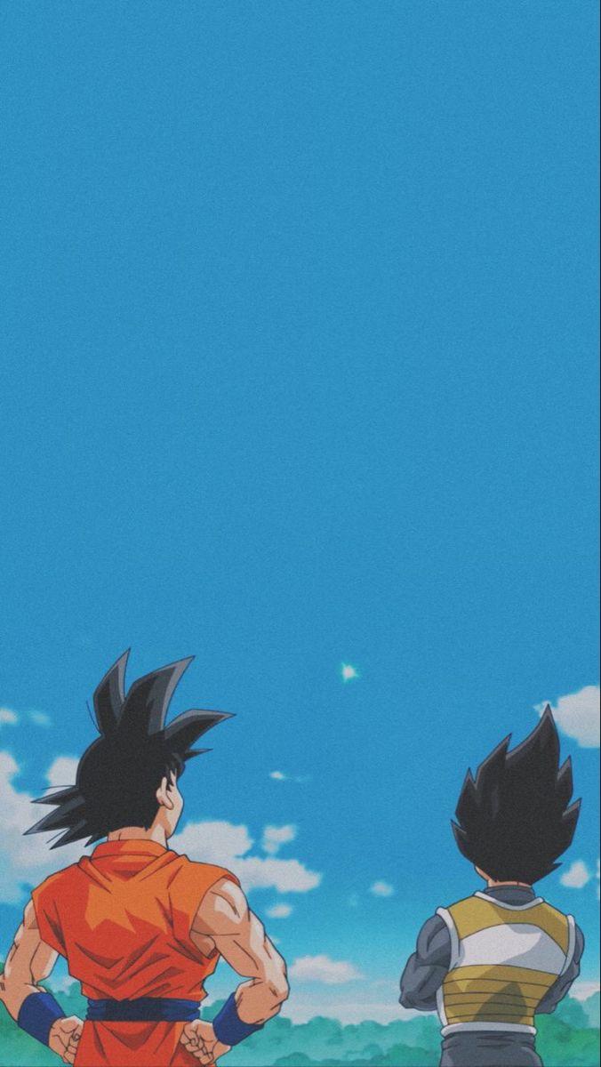 676x1200 Aesthetic Dragon Ball Z Wallpaper