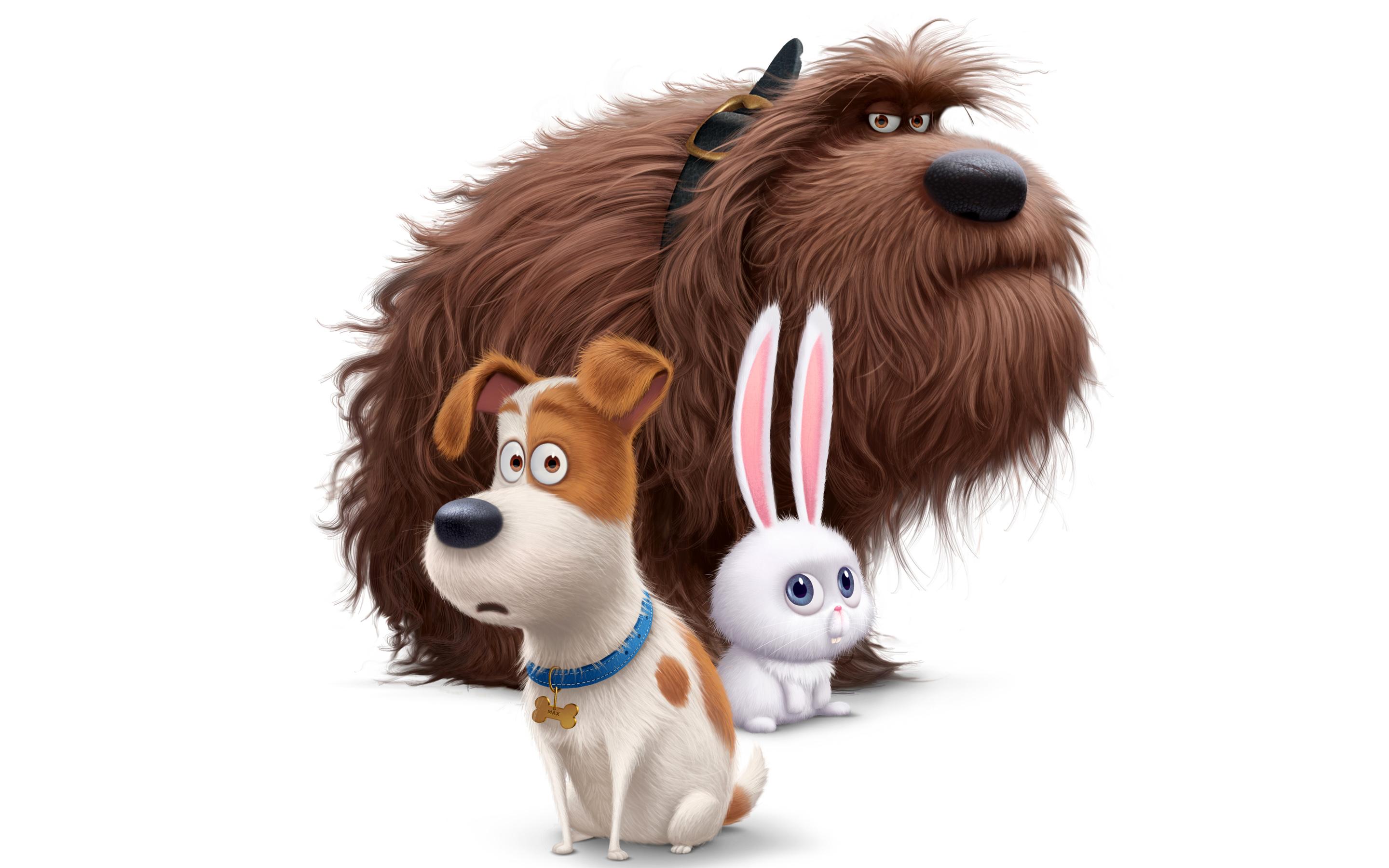 2880x1800 The Secret Life of Pets 4K 8K HD wallpaper