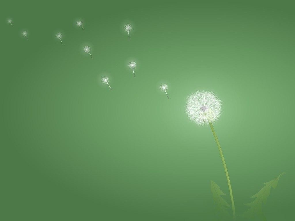 1024x768 Awesome Minimalist Wallpaper
