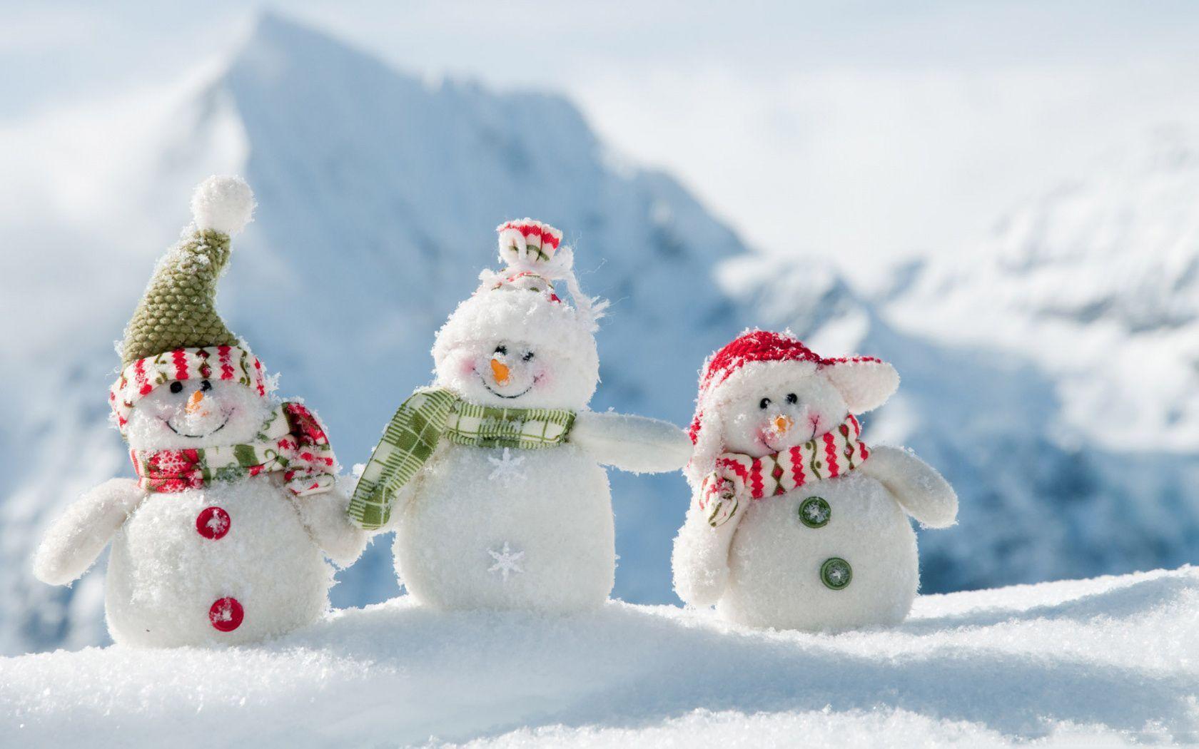 1680x1050 Funny Winter Wallpaper