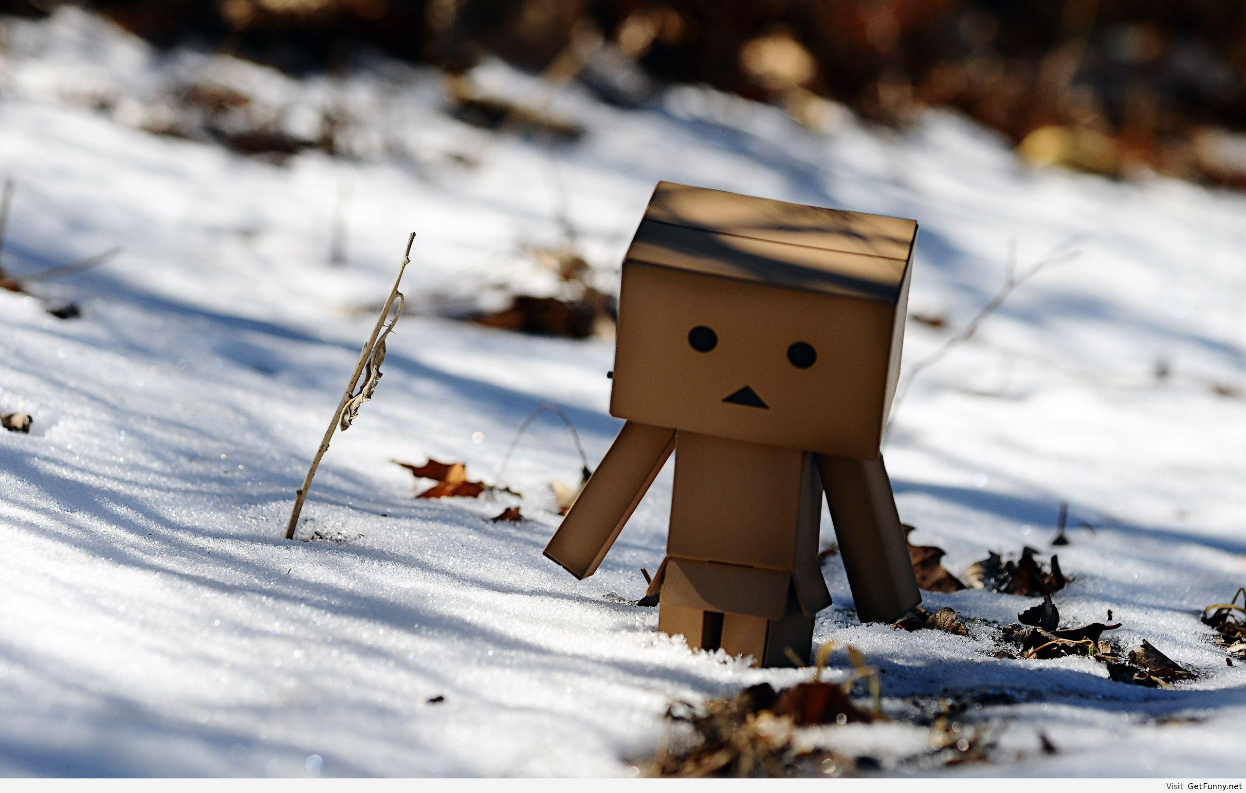 2560x1630 Funny Winter Wallpaper