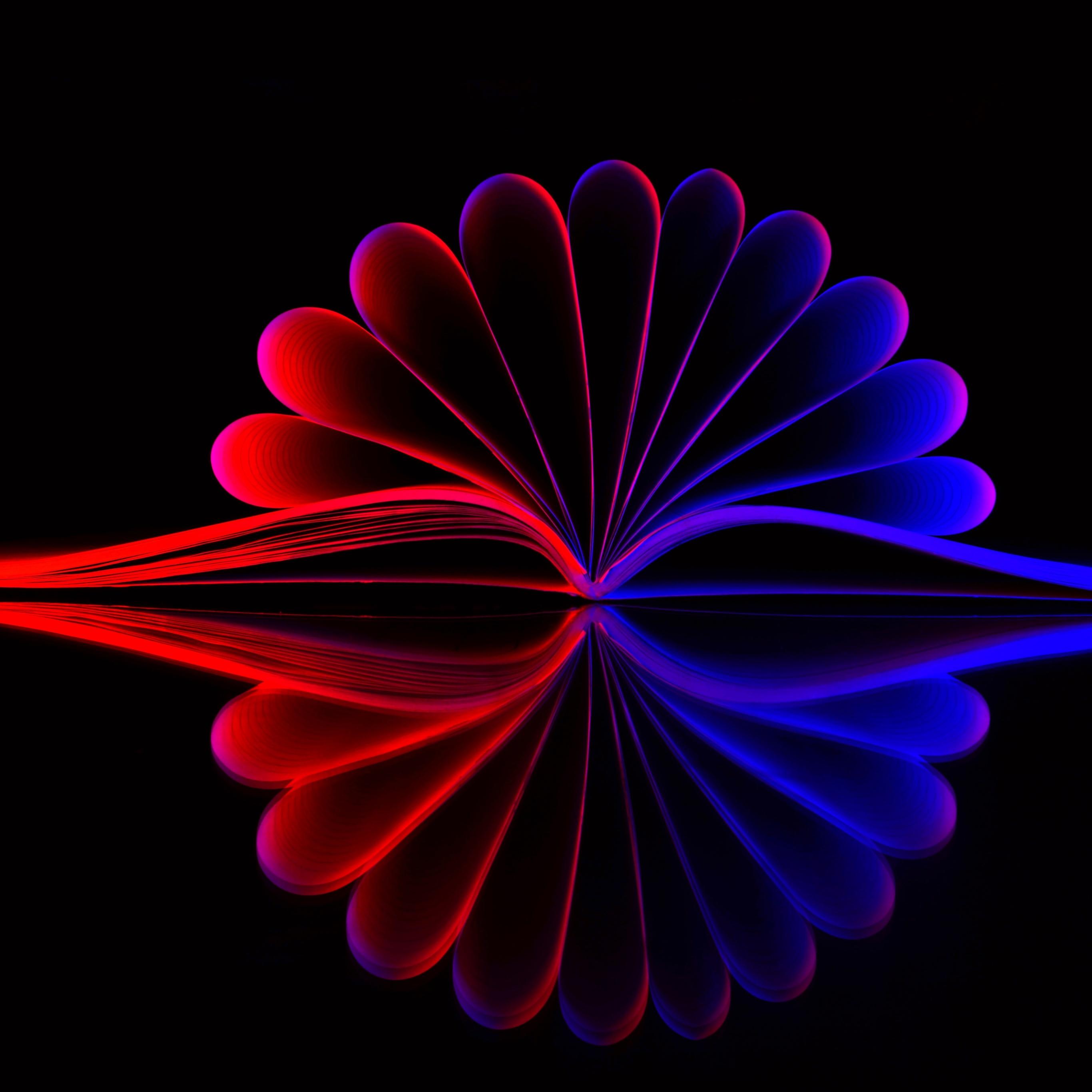 2732x2732 Open book Wallpaper 4K, Illustration, Abstract