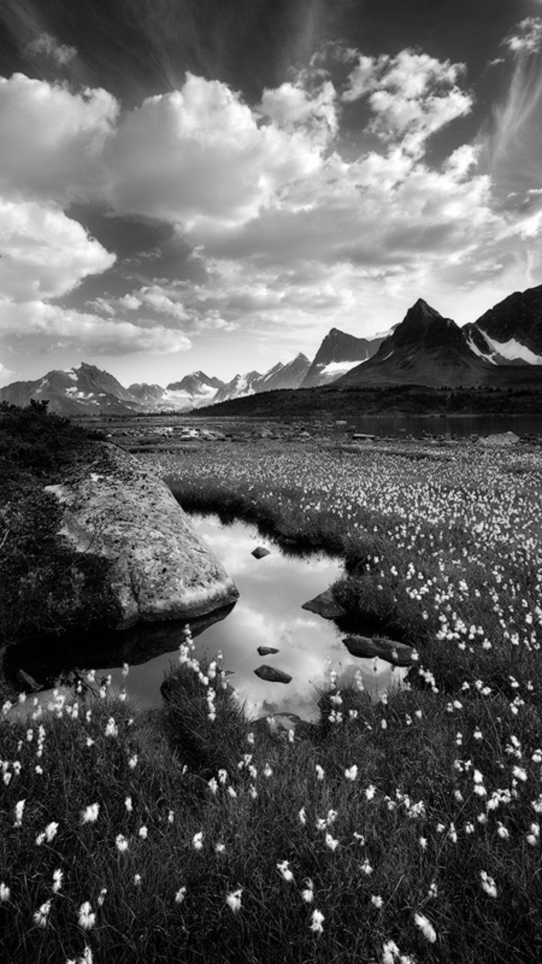 1080x1920 Black and White Wallpaper Black and White Background Download