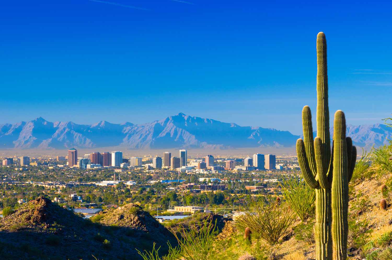 1500x993 Hours in Phoenix: The Ultimate Itinerary