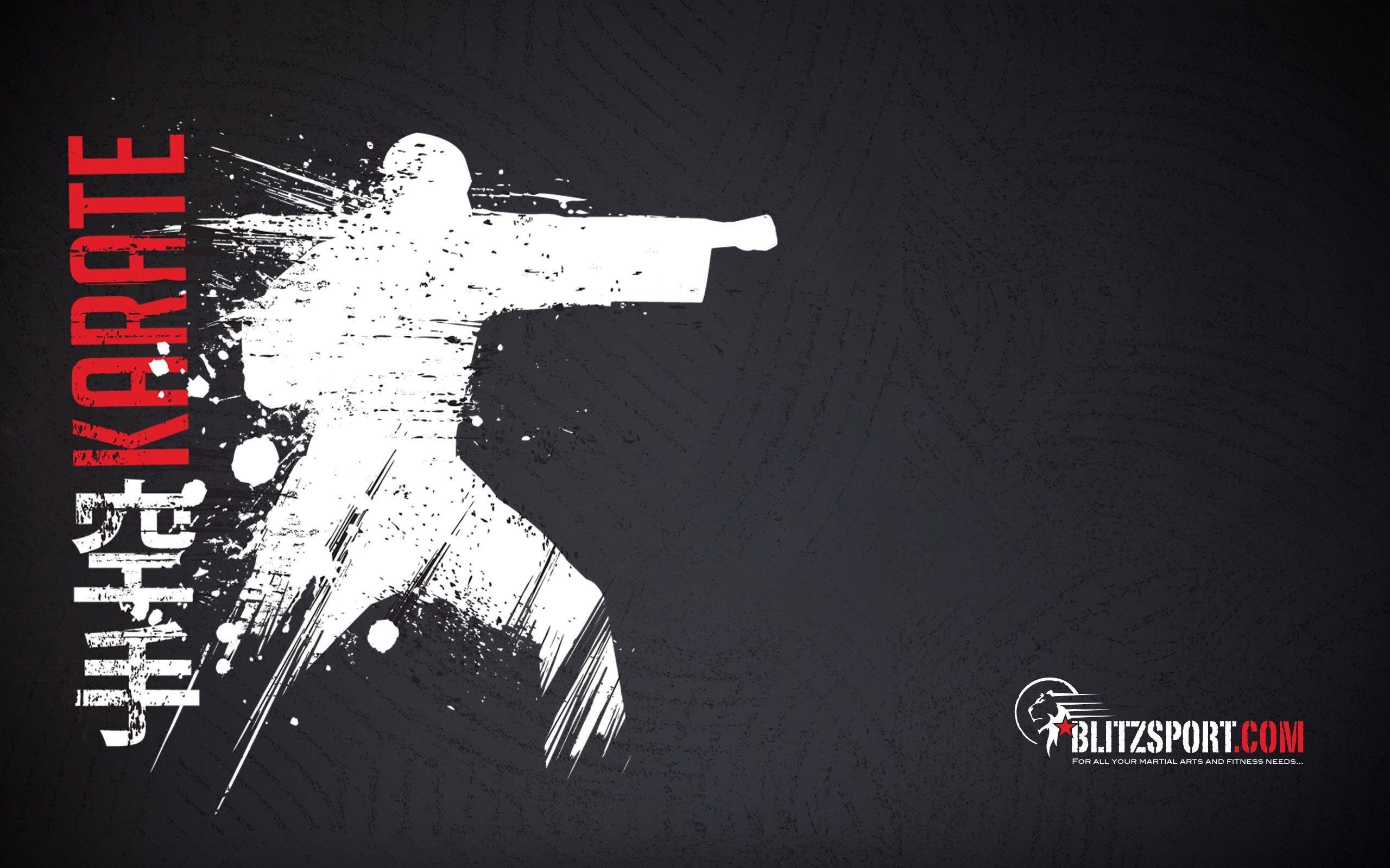 2560x1600 Martial Arts Wallpaper