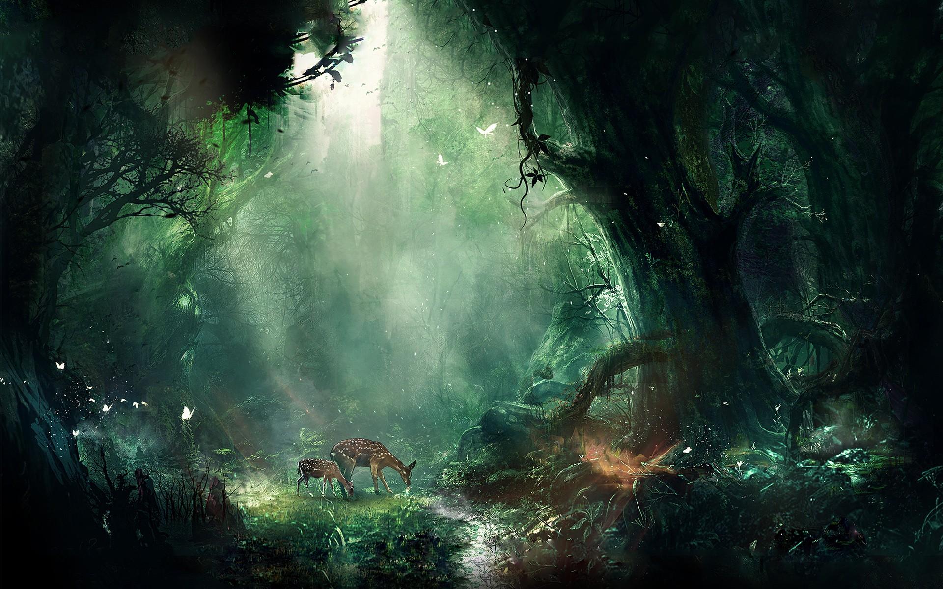1920x1200 forest, fawns Gallery HD Wallpaper