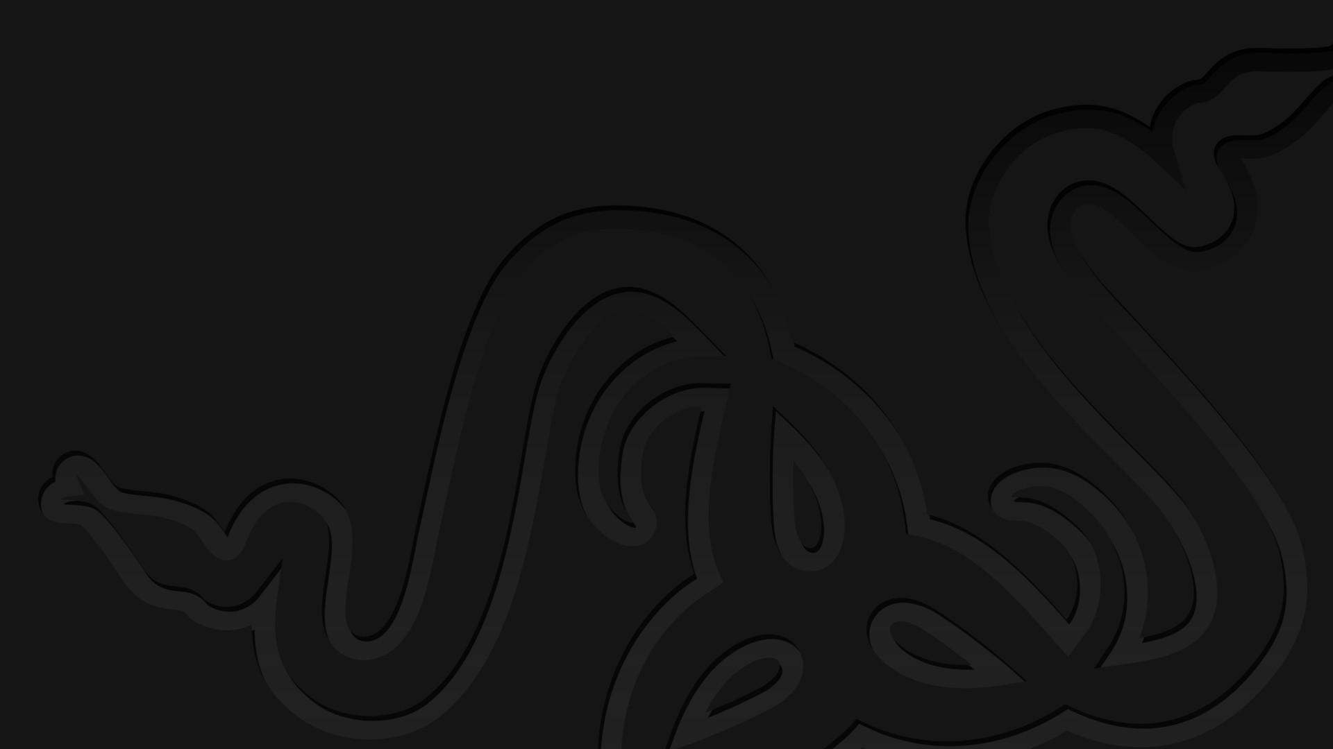 1920x1080 1920x1080 razer black gamer wallpaper JPG 66 kB Gallery HD Wallpaper