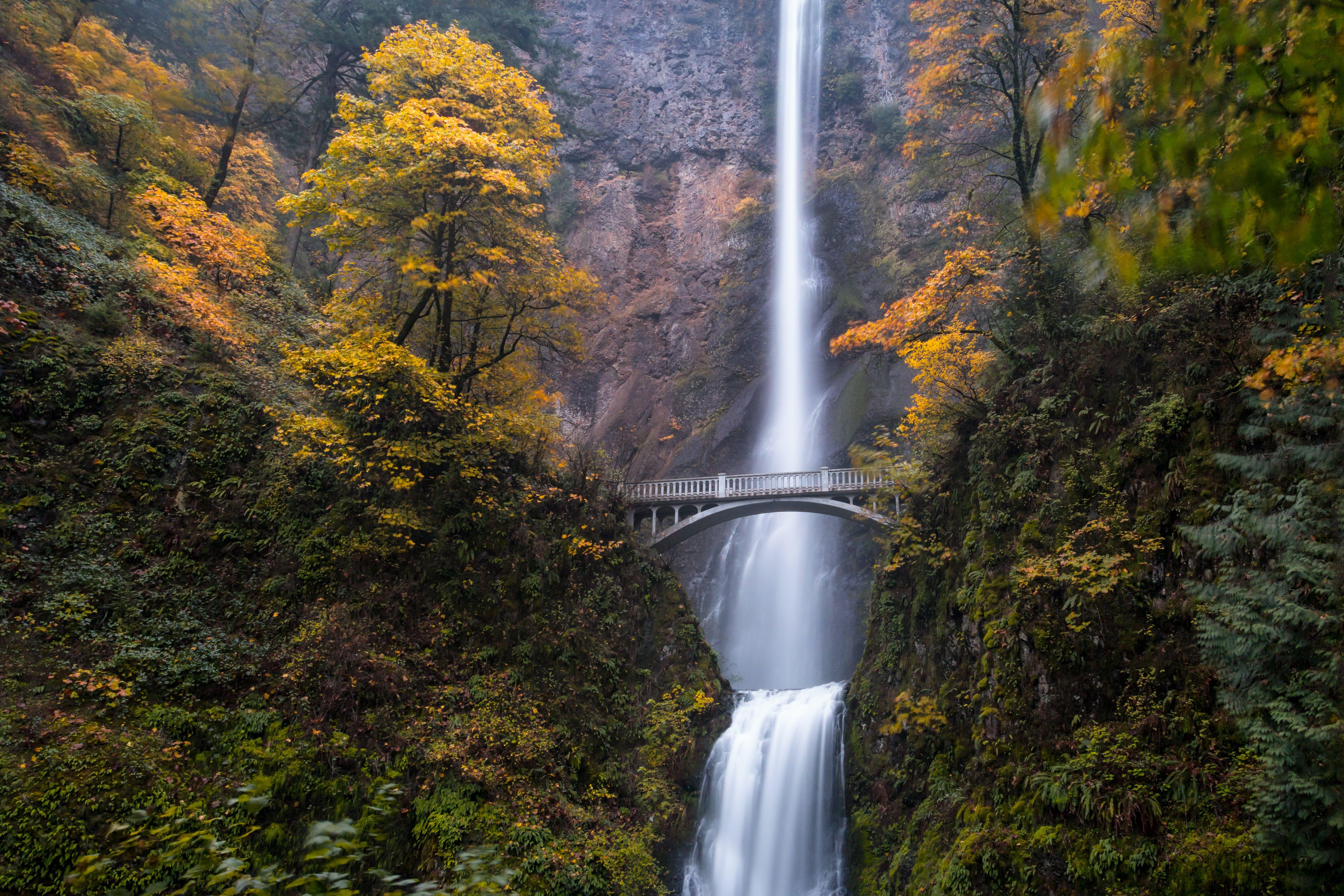 5217x3478 angel falls venezuela photo #fall angel falls #venezuela #photo Multnomah Falls #Oregon #Waterfall #forest #nat. Multnomah falls, Waterfall, Angel falls venezuela