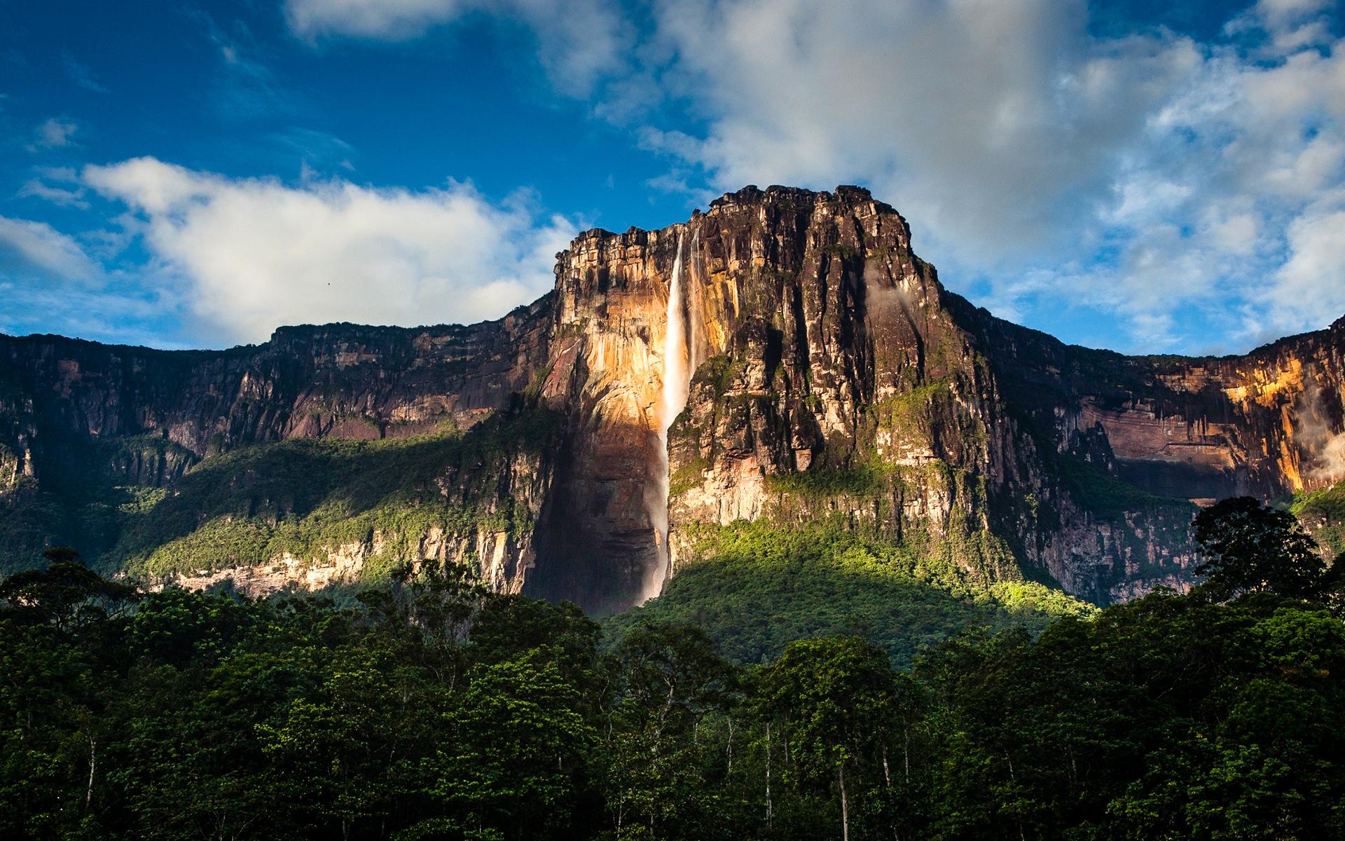 1920x1200 HD desktop wallpaper: Waterfalls, Waterfall, Forest, Earth, Venezuela, Angel Falls download free picture