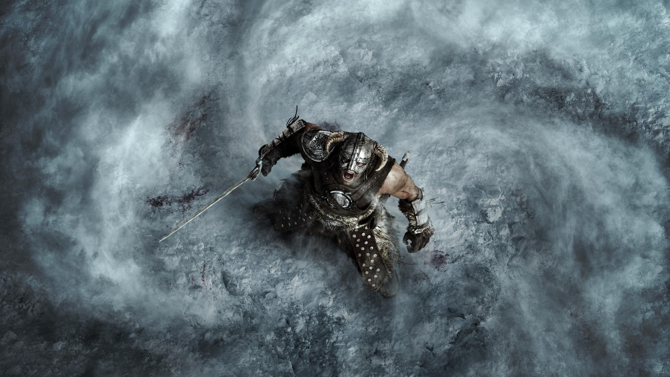 2560x1440 Download wallpaper 2560x1440 the elder scrolls v: skyrim, warrior, video game, dual wide 16:9 2560x1440 HD background, 146