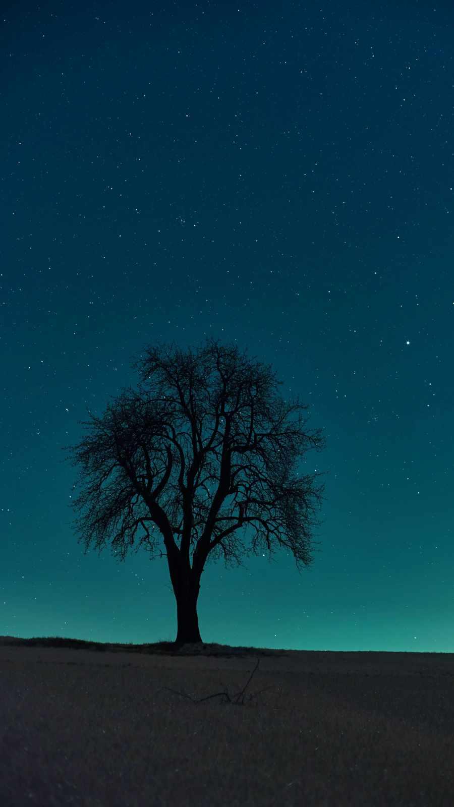 900x1600 Alone Tree IPhone Wallpaper Wallpaper : iPhone Wallpaper