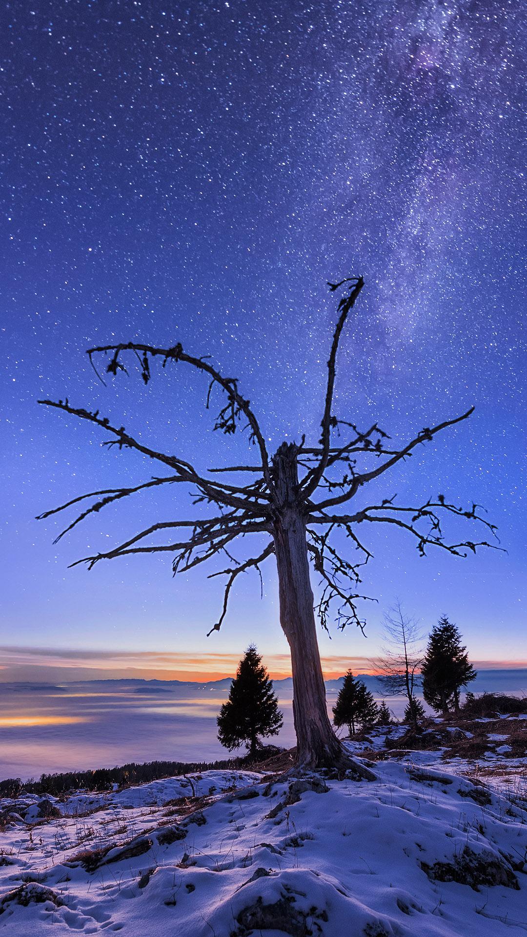 1080x1920 Dreamy Pixel. Free iPhone Wallpaper: Lonely tree under the stars