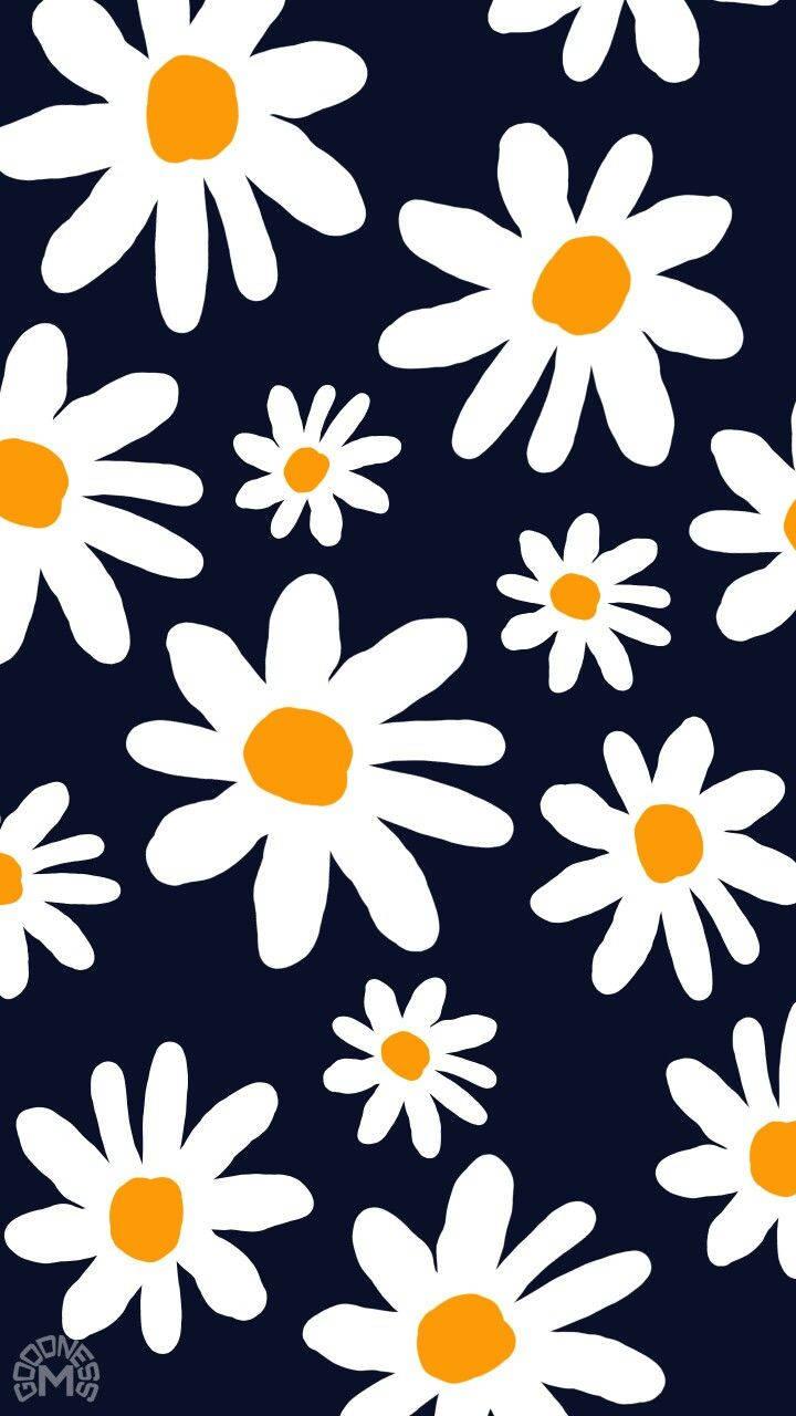 720x1280 Free Daisy iPhone Background Photo, Daisy iPhone Background for FREE