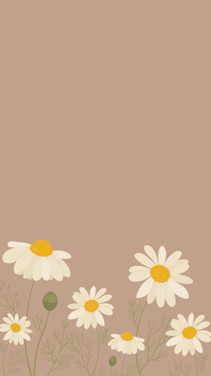 736x1308 Phone wallpaper. daisy