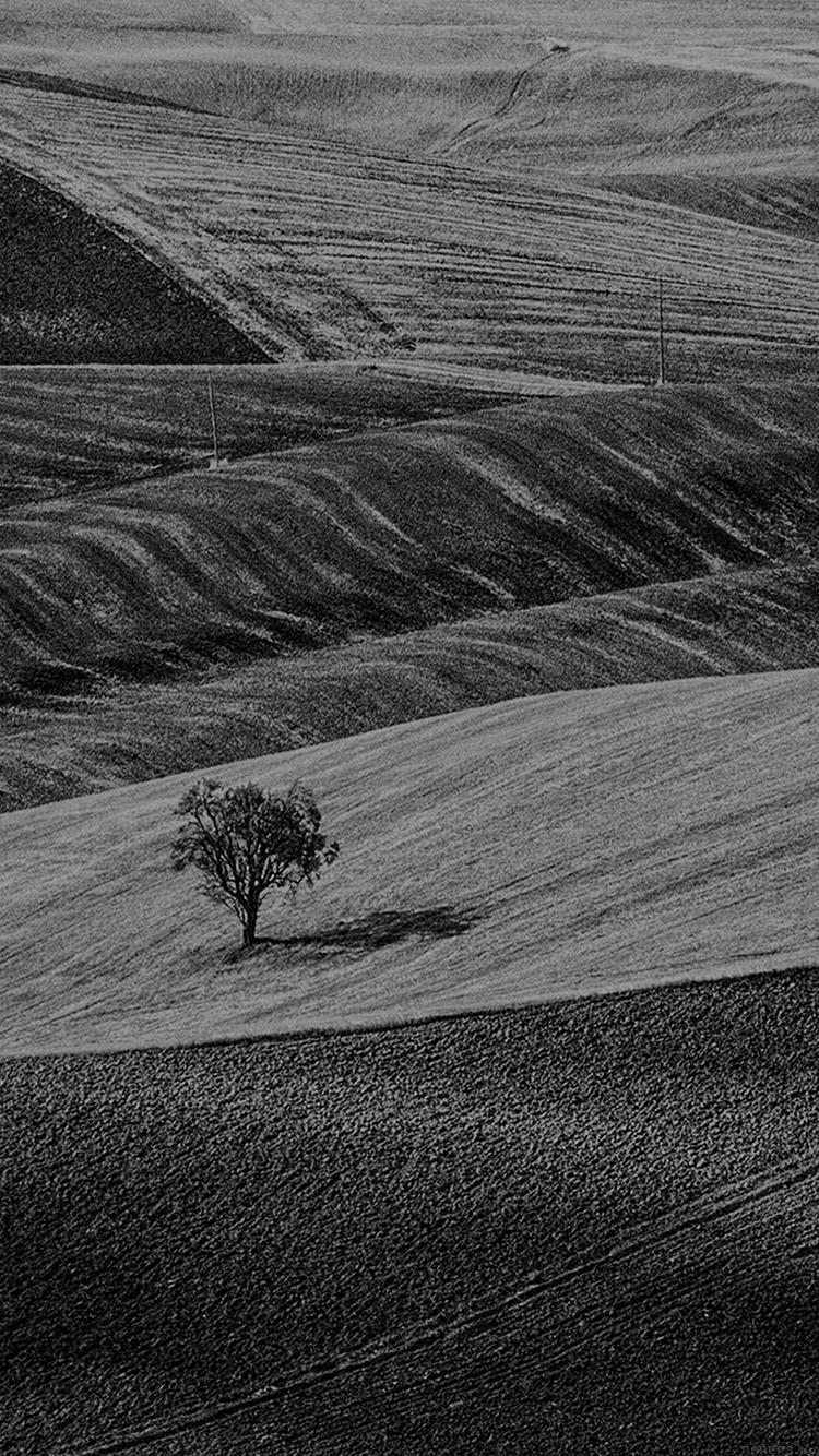 750x1334 iPhone X wallpaper. desert farm dark nature tree lonely bw