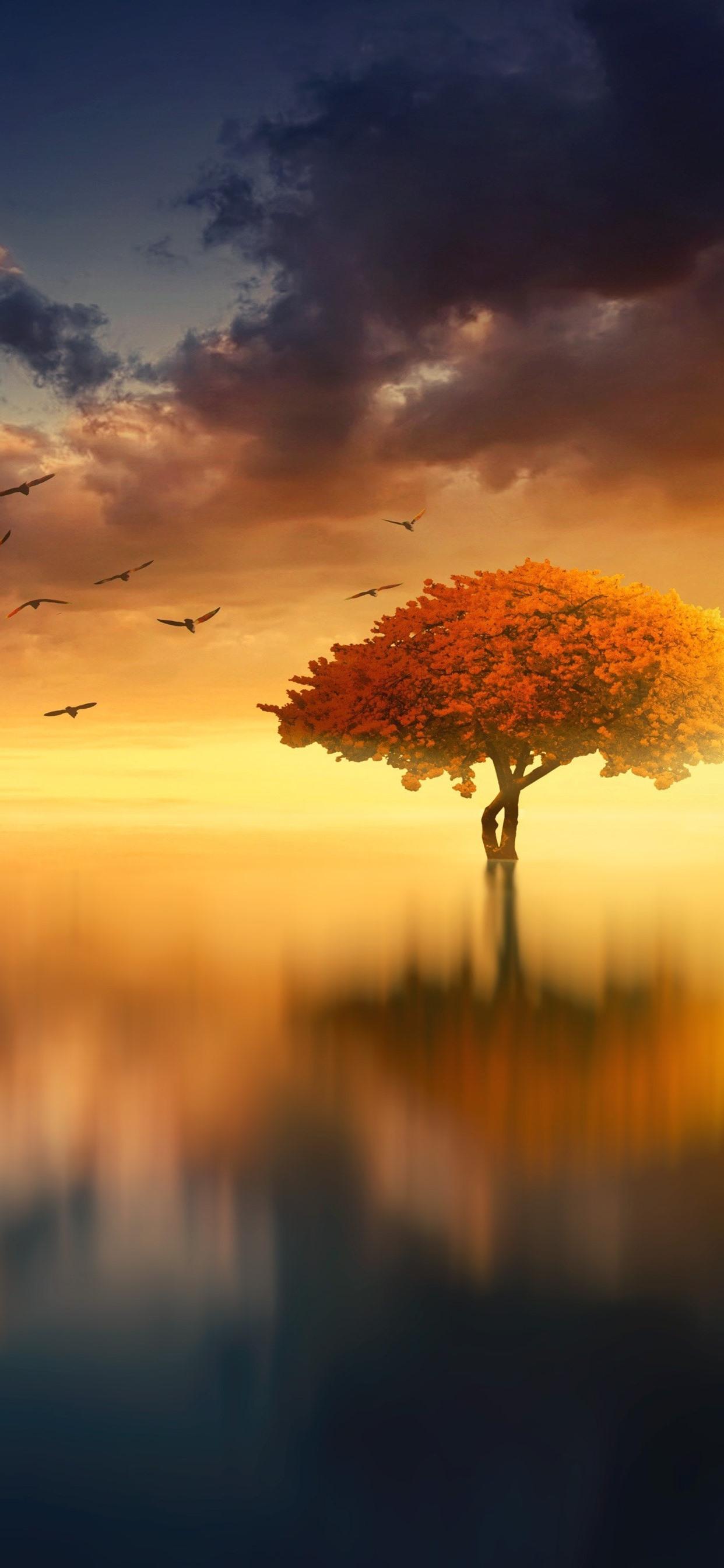 1242x2688 Wallpaper Lonely tree, lake, birds, clouds, sunset 5120x2880 UHD 5K Picture, Image