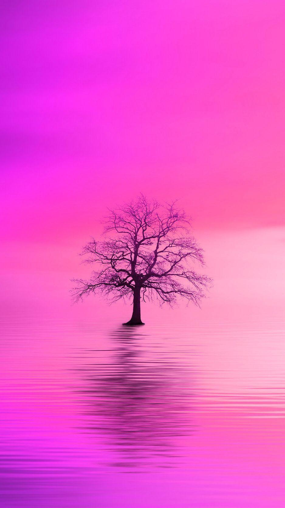 938x1668 Tree Pink Horizon Lonely HD Wallpaper