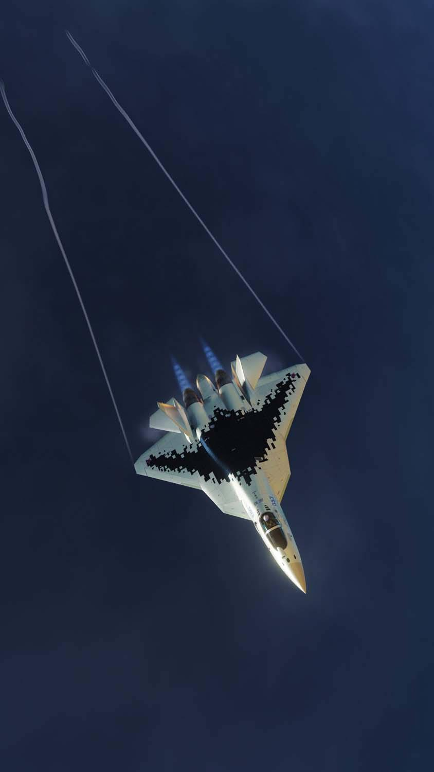 844x1500 Download Soaring Black And White Jet iPhone Wallpaper
