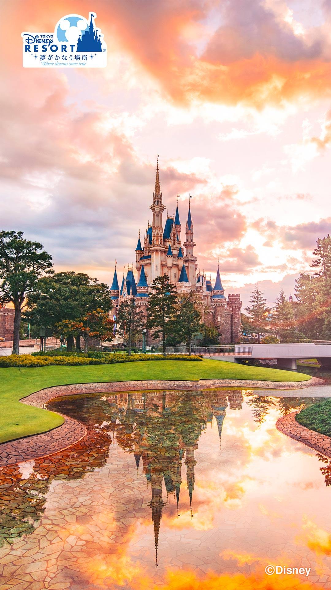 1080x1920 OfficialWallpaper. Tokyo Disney Resort
