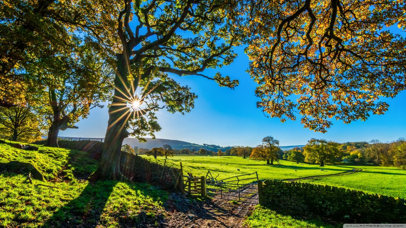 1600x900 Beautiful England Nature Countryside Scenery Ultra HD Desktop Background Wallpaper for 4K UHD TV : Widescreen & UltraWide Desktop & Laptop : Tablet